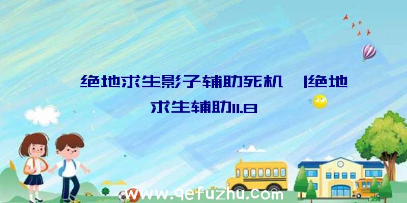 「绝地求生影子辅助死机」|绝地求生辅助11.8